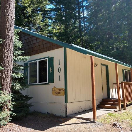 Hall Creek Cabin Packwood Zewnętrze zdjęcie