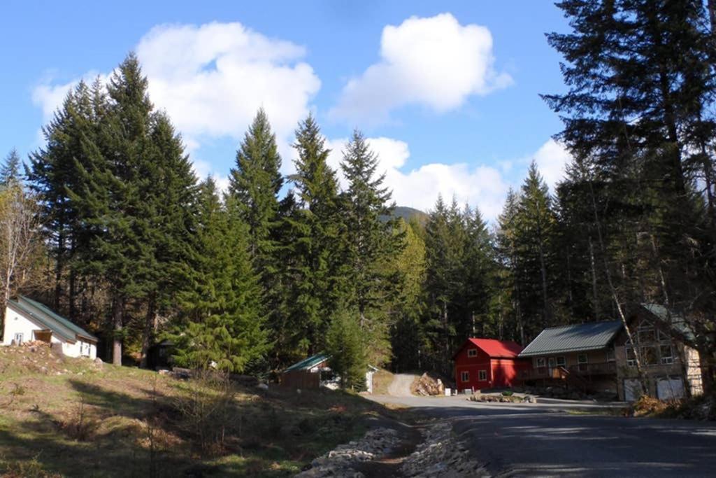 Hall Creek Cabin Packwood Zewnętrze zdjęcie