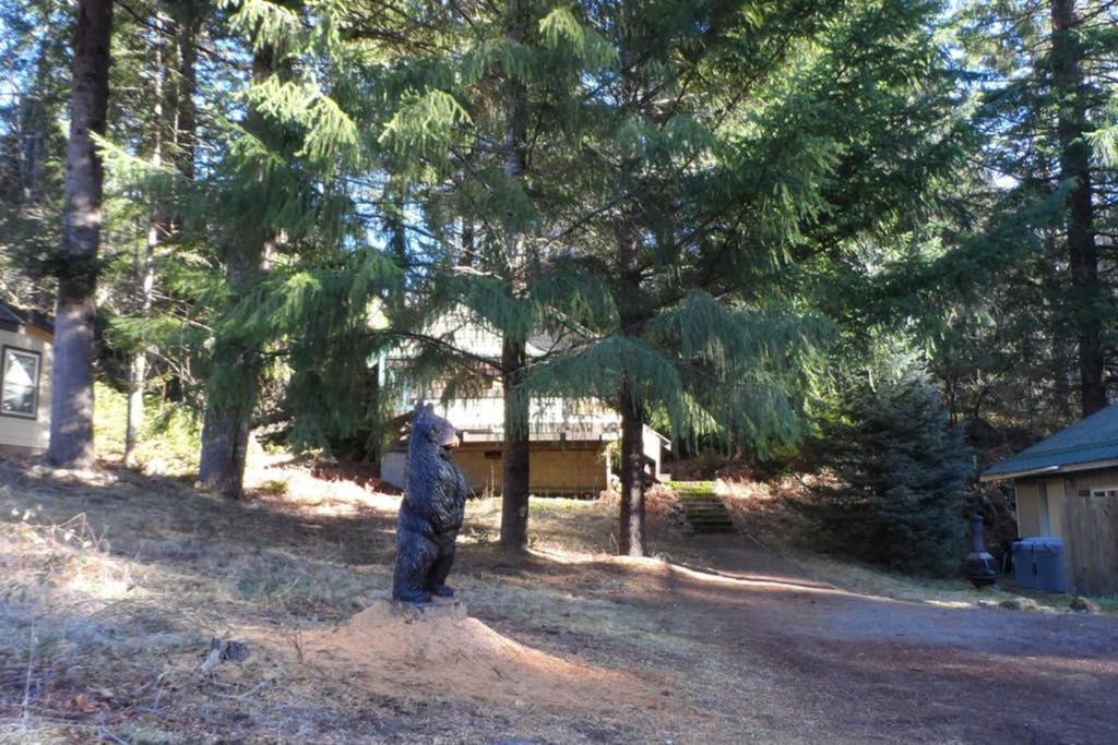 Hall Creek Cabin Packwood Zewnętrze zdjęcie