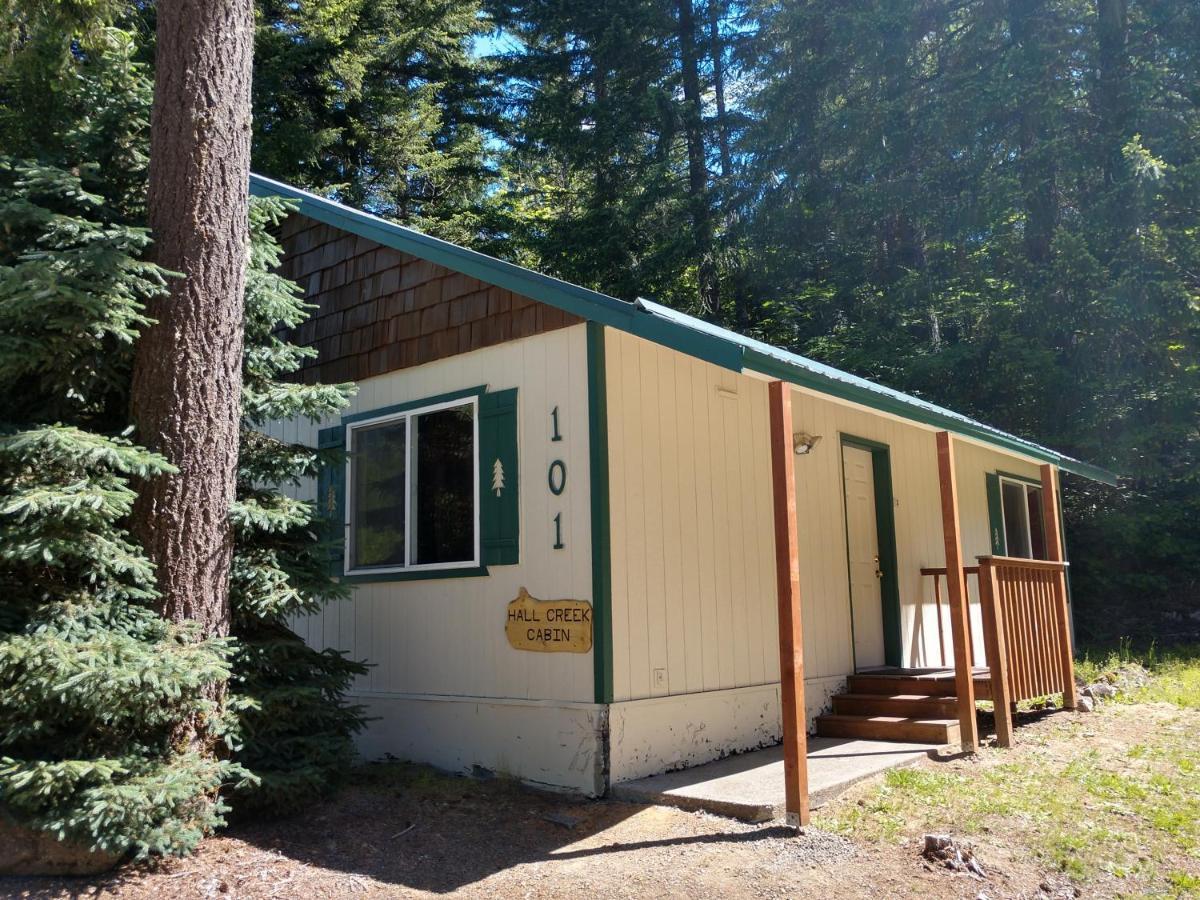 Hall Creek Cabin Packwood Zewnętrze zdjęcie
